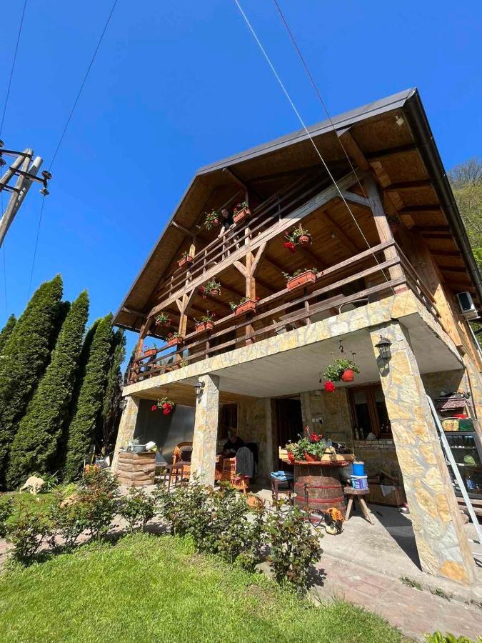 Apartman "Kapetana Luka" Ljubovija Εξωτερικό φωτογραφία